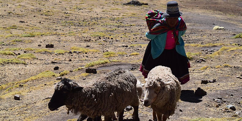 Locals in Vincunca
