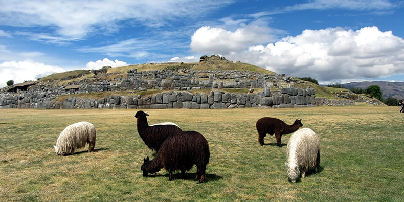 sacsayhuaman cusco