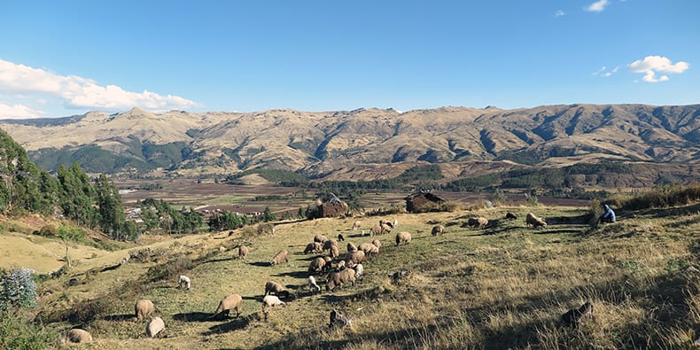 cusco sacred valley